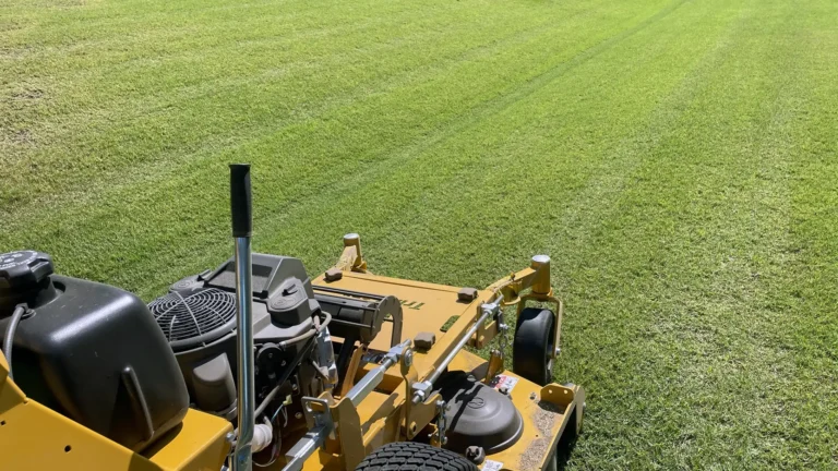 lawn mowing services